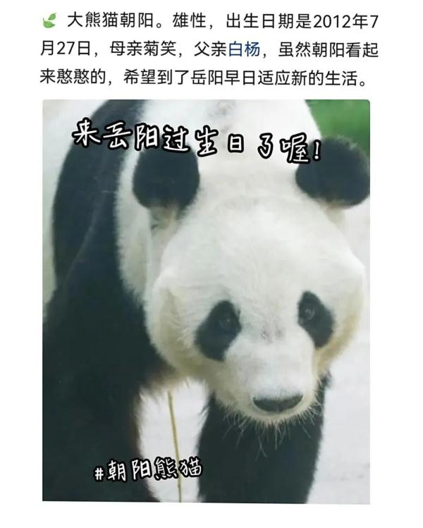 别错过！顶流明星来湖南了！