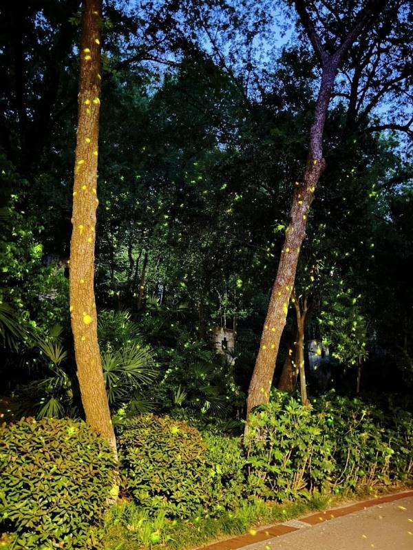 在南京,有一种闲逛叫打卡文学小路 在南京,有一种闲逛叫打卡文学小路