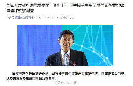 国开行原副行长王用生被查