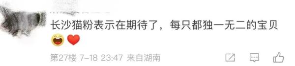 别错过！顶流明星来湖南了！