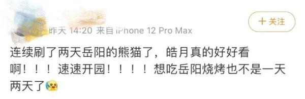 别错过！顶流明星来湖南了！