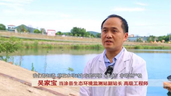 “水中大熊猫”这珍贵一幕被拍下! “水中大熊猫”这珍贵一幕被拍下!