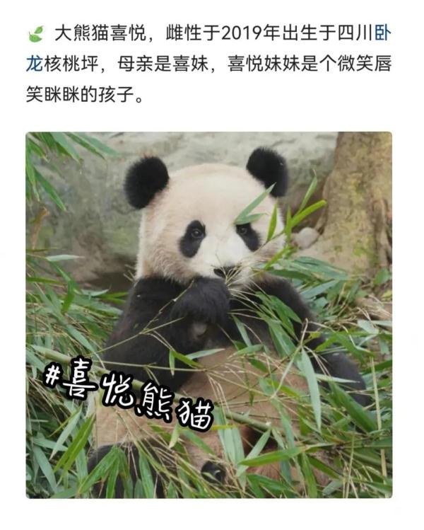 别错过！顶流明星来湖南了！