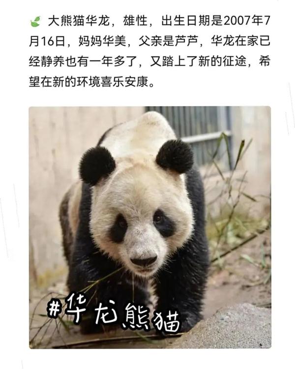 别错过！顶流明星来湖南了！