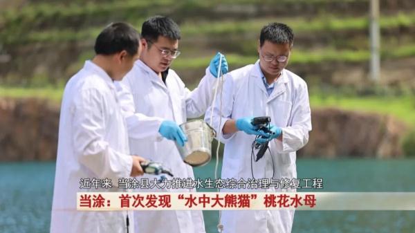 “水中大熊猫”这珍贵一幕被拍下! “水中大熊猫”这珍贵一幕被拍下!