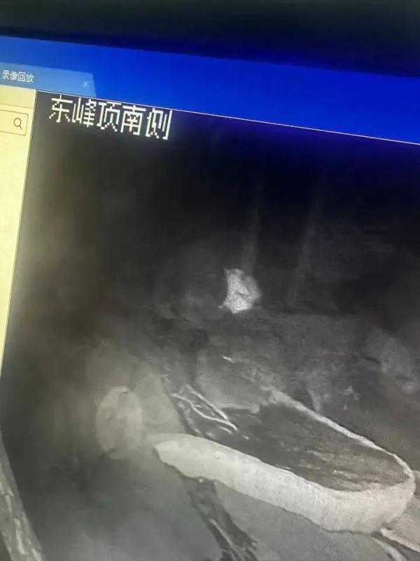 痛心！遗体被发现，年仅24岁