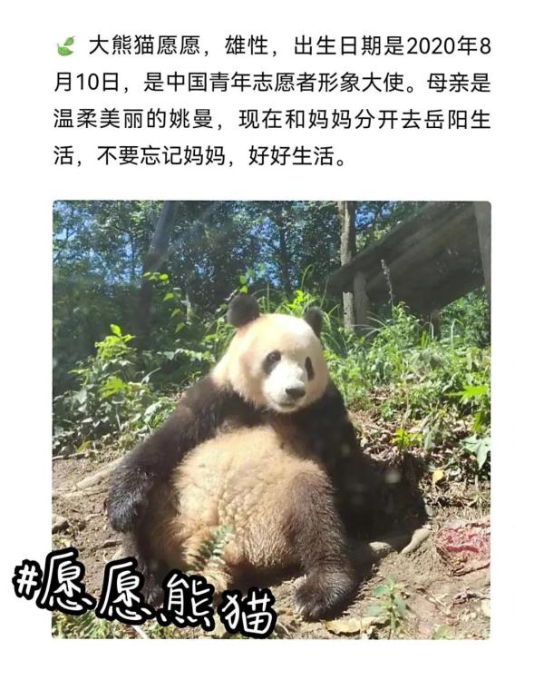 别错过！顶流明星来湖南了！