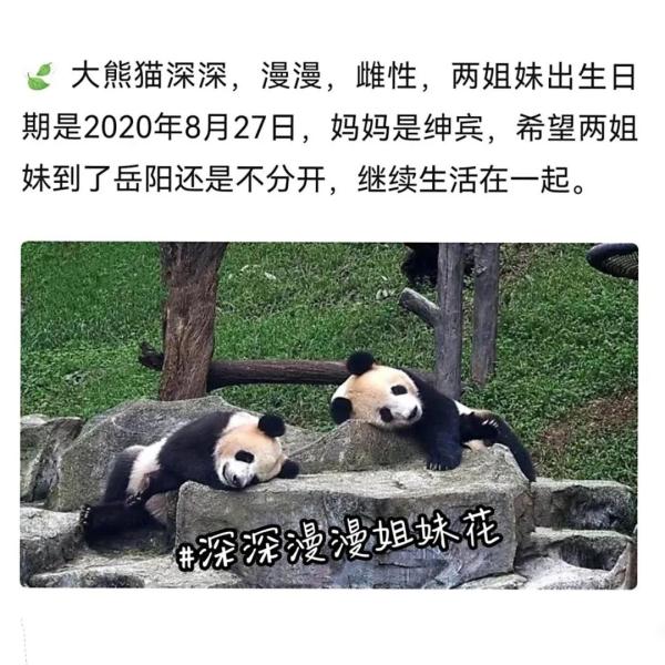 别错过！顶流明星来湖南了！