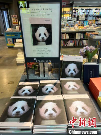 大熊猫“福宝”将满三周岁 写真纪念册在韩热销 大熊猫“福宝”将满三周岁 写真纪念册在韩热销
