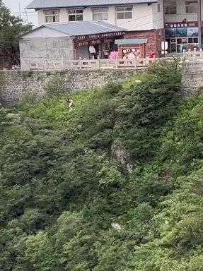 情侣吵架女方跳崖?景区回应:被她男朋友救上来了 情侣吵架女方跳崖?景区回应:被她男朋友救上来了