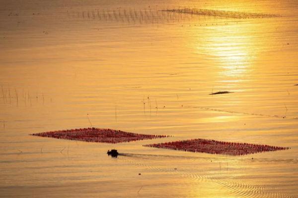 在“山海之间”打理雷达站,是种什么体验? 在“山海之间”打理雷达站,是种什么体验?