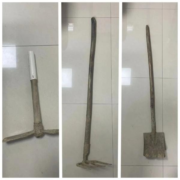 洞庭湖因旱情露出的唐宋古墓葬遭盗掘：三人用铁锹耙刀挖木棺获刑