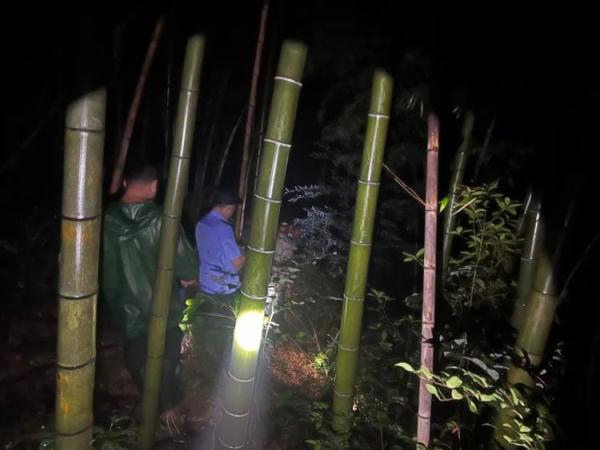 130元一公斤，有人一晚抓700只！杭州男子为此半夜进山后失联，一群人足足找了一晚上