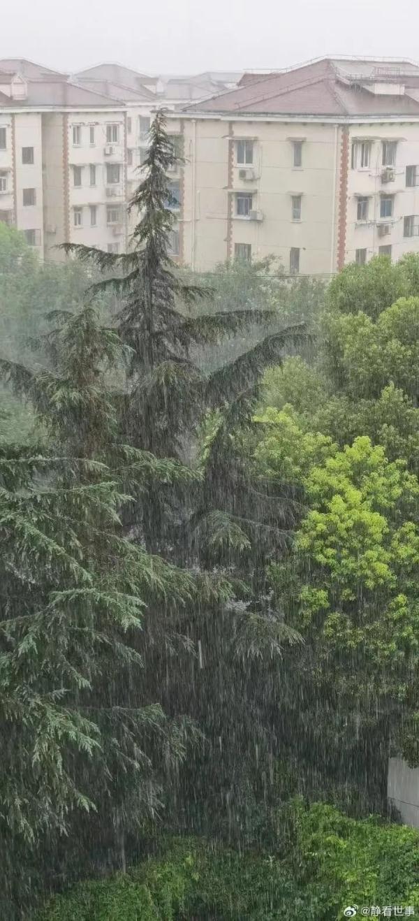 上海暴雨已至!一张图看清如何“局部” 上海暴雨已至!一张图看清如何“局部”