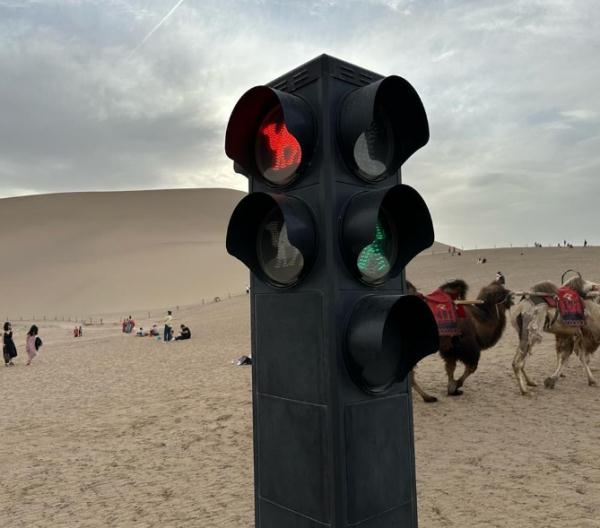 体力不支，骆驼集体“罢工”？敦煌景区回应；这个夏天，你在哪里人从众？