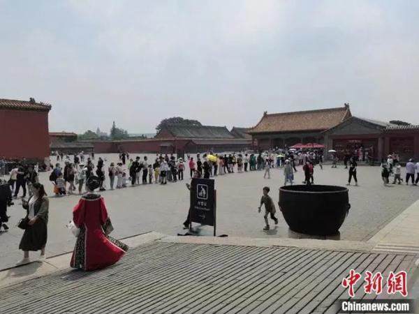 日薪千元，“一导难求”