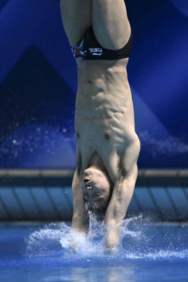 游泳锦标赛中国跳水队再添金 花游王柳懿/王芊懿遗憾摘银 游泳锦标赛中国跳水队再添金 花游王柳懿/王芊懿遗憾摘银