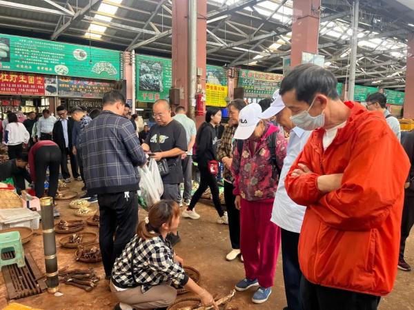 见手青价格猛涨！最贵要卖500元/公斤