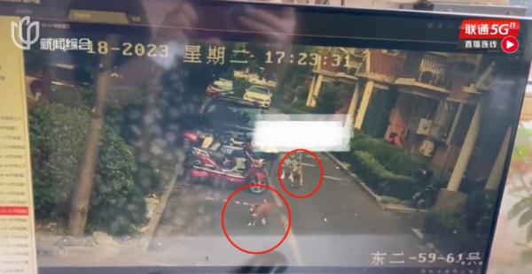 上海一女孩被狗咬伤，狗主人否认：认错狗！维权陷入僵局怎么办？