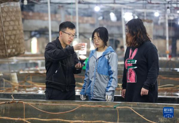 神州风物丨大黄鱼“重生”记