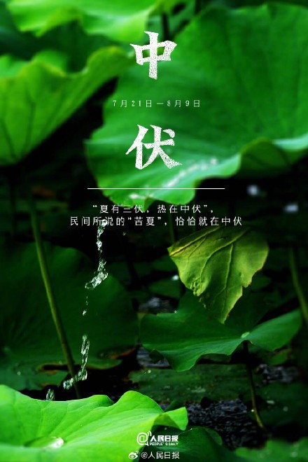 今天，三伏里最热的中伏来了