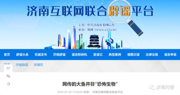 砚池中的大鱼是“恐怖生物”？济南辟谣