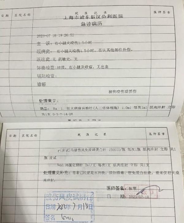 上海一女孩被狗咬伤，狗主人否认：认错狗！维权陷入僵局怎么办？
