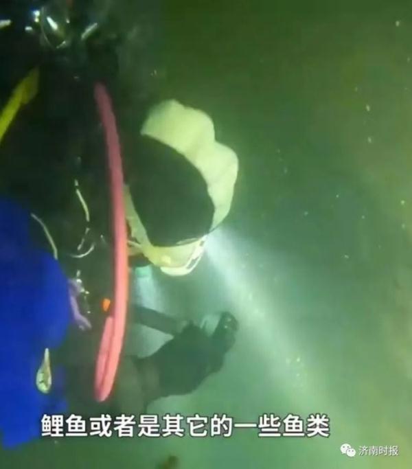 砚池中的大鱼是“恐怖生物”？济南辟谣