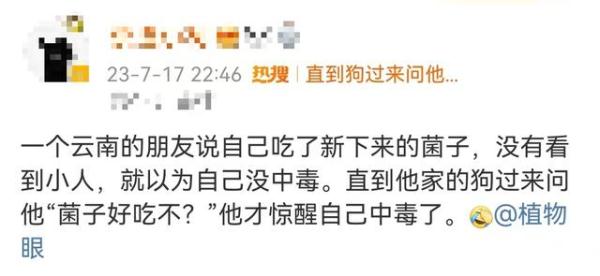 离谱!网友分享野生菌中毒经历:狗过来问我,菌子好吃不? 离谱!网友分享野生菌中毒经历:狗过来问我,菌子好吃不?