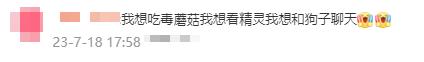 离谱!网友分享野生菌中毒经历:狗过来问我,菌子好吃不? 离谱!网友分享野生菌中毒经历:狗过来问我,菌子好吃不?