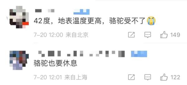 体力不支，骆驼集体“罢工”？敦煌景区回应；这个夏天，你在哪里人从众？