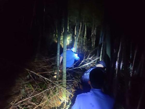130元一公斤，有人一晚抓700只！杭州男子为此半夜进山后失联，一群人足足找了一晚上