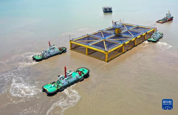 神州风物丨大黄鱼“重生”记