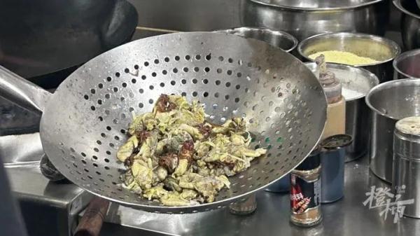 19岁男子离职捉“虫”月入三四万？“最多四个晚上赚了近一万”