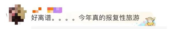 体力不支，骆驼集体“罢工”？敦煌景区回应；这个夏天，你在哪里人从众？