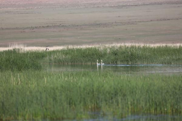 蒙古国西部风光