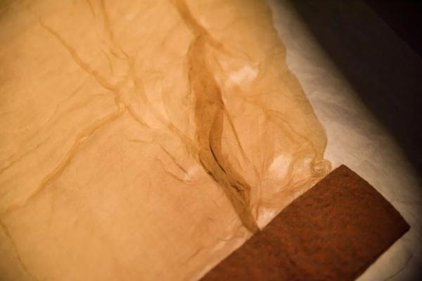 每家博物馆都有“显眼包”！