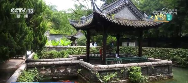 守护好绿水青山 人工林筑起万亩屏障 守护好绿水青山 人工林筑起万亩屏障