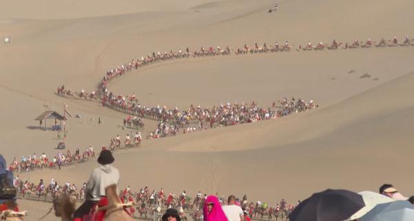 敦煌一景区骆驼劳累过度被人骑死?记者采访当地农户 敦煌一景区骆驼劳累过度被人骑死?记者采访当地农户