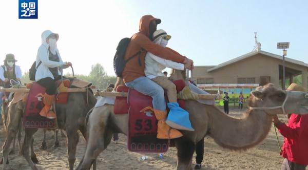 敦煌骆驼因游客太多被累死?景区回应 敦煌骆驼因游客太多被累死?景区回应