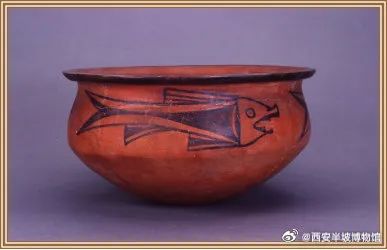 每家博物馆都有“显眼包”！