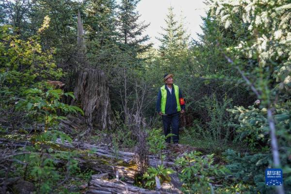 西藏:生态旅游唤醒“遗忘的村落” 西藏:生态旅游唤醒“遗忘的村落”