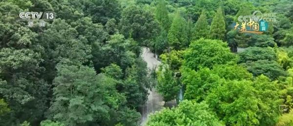 守护好绿水青山 人工林筑起万亩屏障 守护好绿水青山 人工林筑起万亩屏障