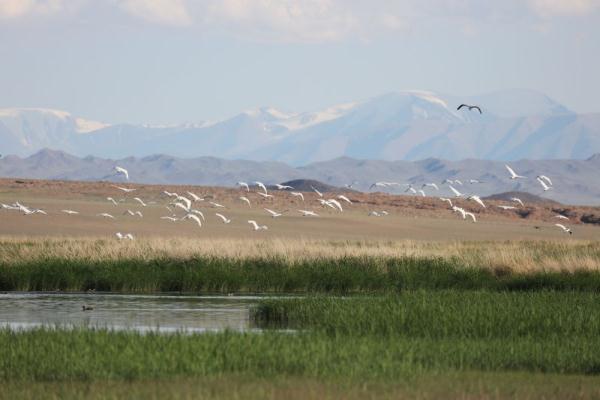 蒙古国西部风光