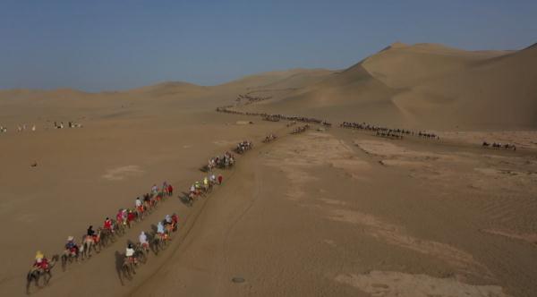 敦煌一景区骆驼劳累过度被人骑死?记者采访当地农户 敦煌一景区骆驼劳累过度被人骑死?记者采访当地农户