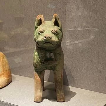 每家博物馆都有“显眼包”！