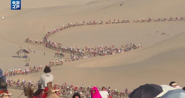 敦煌骆驼因游客太多被累死?景区回应 敦煌骆驼因游客太多被累死?景区回应