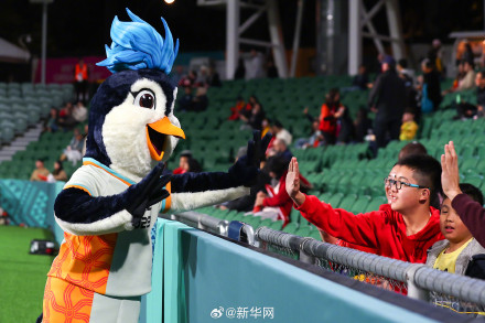 球迷为中国女足加油助威 球迷为中国女足加油助威
