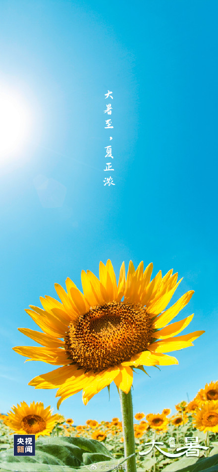 大暑至,夏正浓,全年最热的时候来了! 大暑至,夏正浓,全年最热的时候来了!