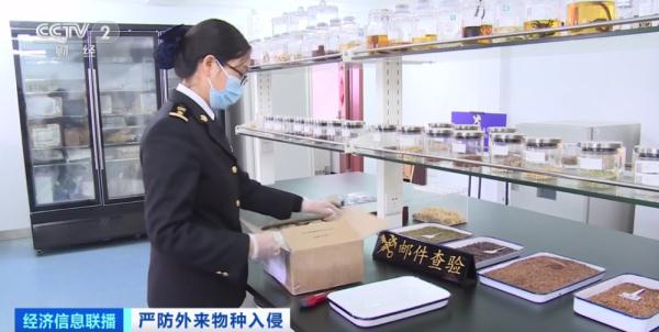 海关总署宣布:重点打击这些违法行为!多地已截获,严重或致死亡! 海关总署宣布:重点打击这些违法行为!多地已截获,严重或致死亡!